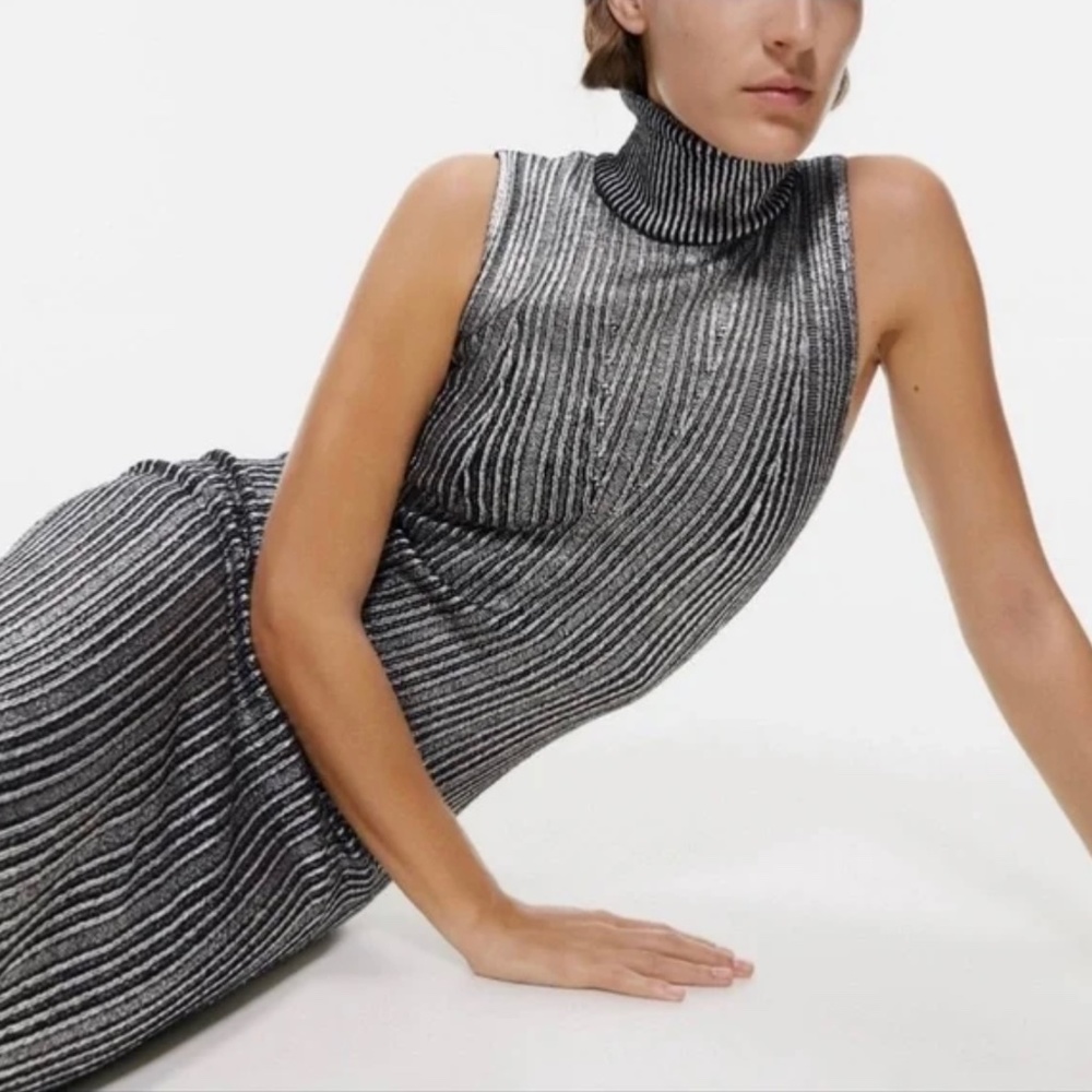 Zara Black and Silver Sleeveless Ribbed Turtleneck Midi Dress